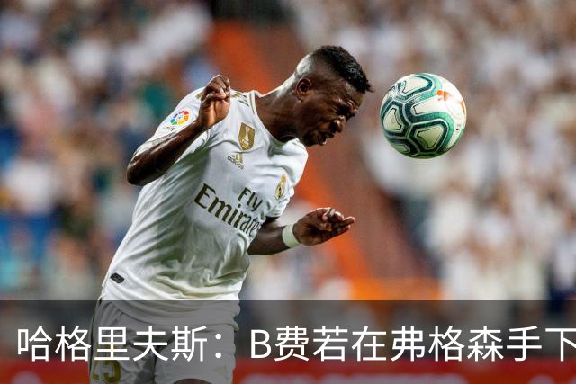 哈格里夫斯:B费若在弗格森手下说这话,就没机会再上场了