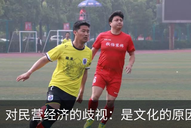 对民营经济的歧视:是文化的原因,还是意识形态的推动