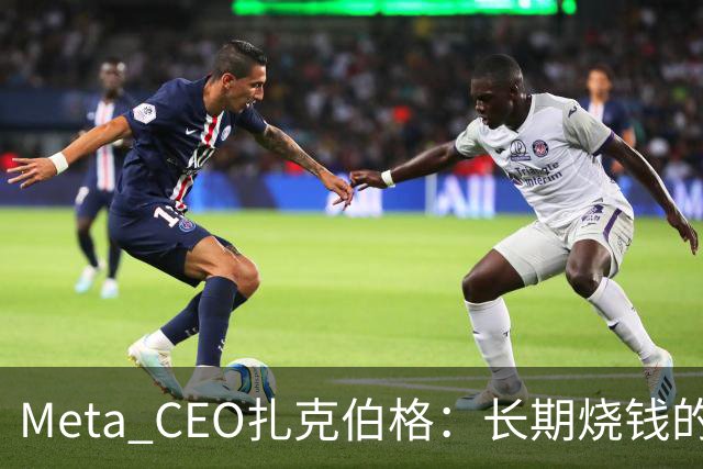 Meta CEO扎克伯格：长期烧钱的Muse和Reality Labs终于盈利在望